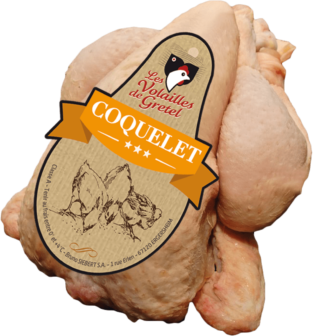 Coquelet