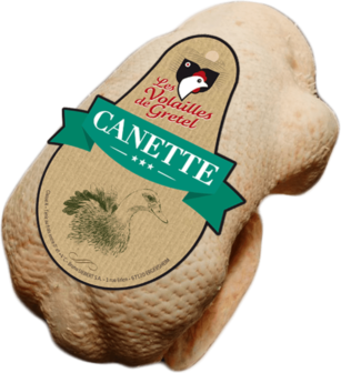 Canette