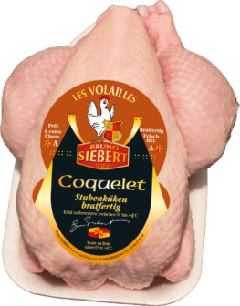 Cockerel