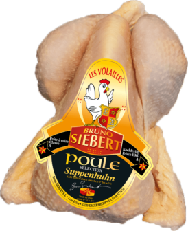 Poule