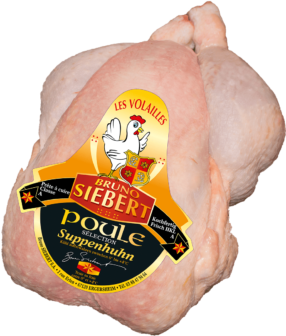 Whole vedette Hen