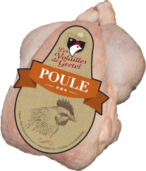 Poule Vedette