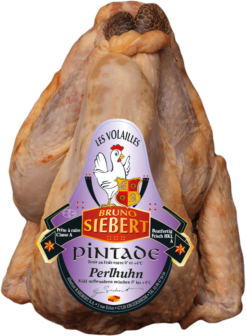 Perlhuhn