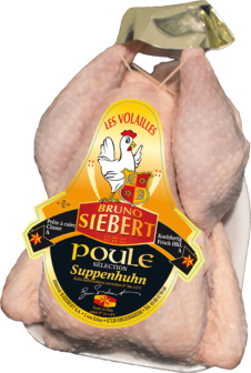 Suppenhuhn