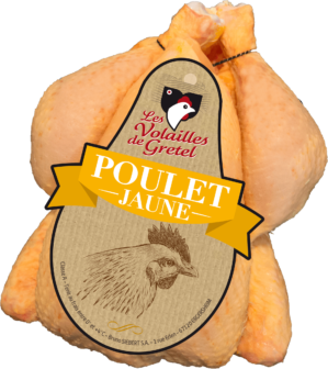 Poulet Jaune