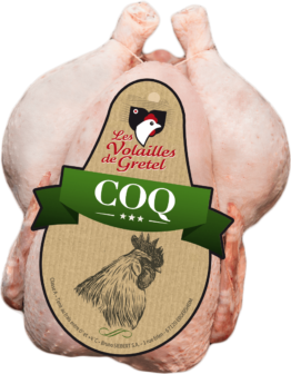 Coq