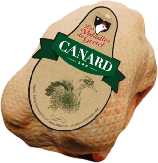 Canard