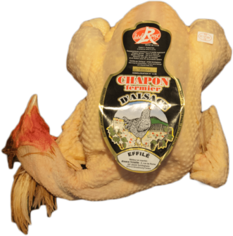 Whole farm-reared Label Rouge Capon with head