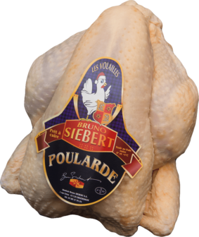 Poularde