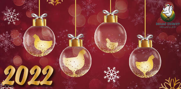 Happy New Year !